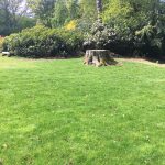 Purley Grounds