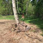 Bug Hotel