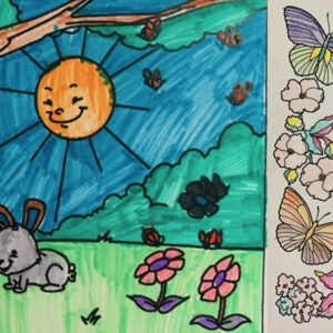 Colouring Pictures