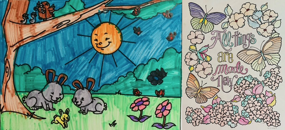 Colouring Pictures