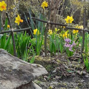 Easter Garden